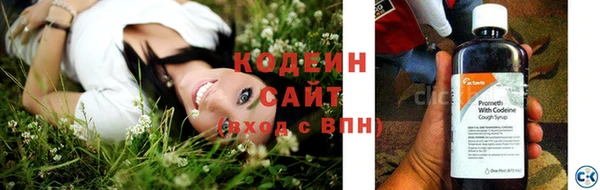 крисы Новодвинск
