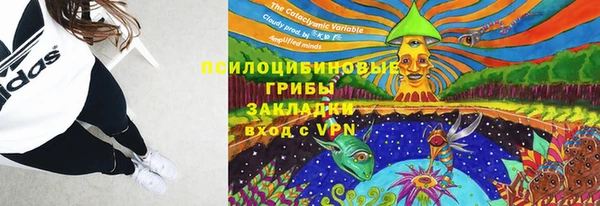 крисы Новодвинск