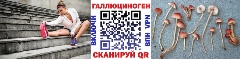 кракен ССЫЛКА  Отрадная  Галлюциногенные грибы мухоморы 