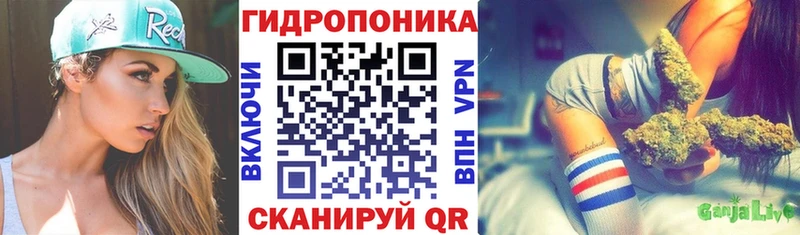 Каннабис гибрид  Отрадная 